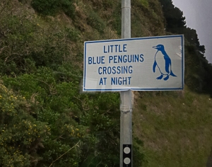 Wellington - penguin sign